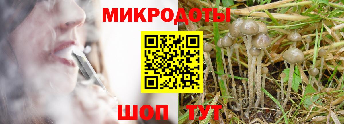 Волжск  Галлюциногенные грибы прущие грибы  Вход с VPN 